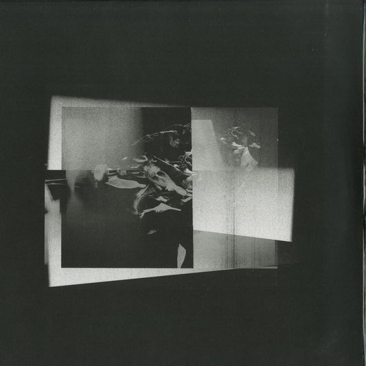 Second Hand vinyl record of Michael Wells's "Three Marks of Existence" with the album cover art displayed.