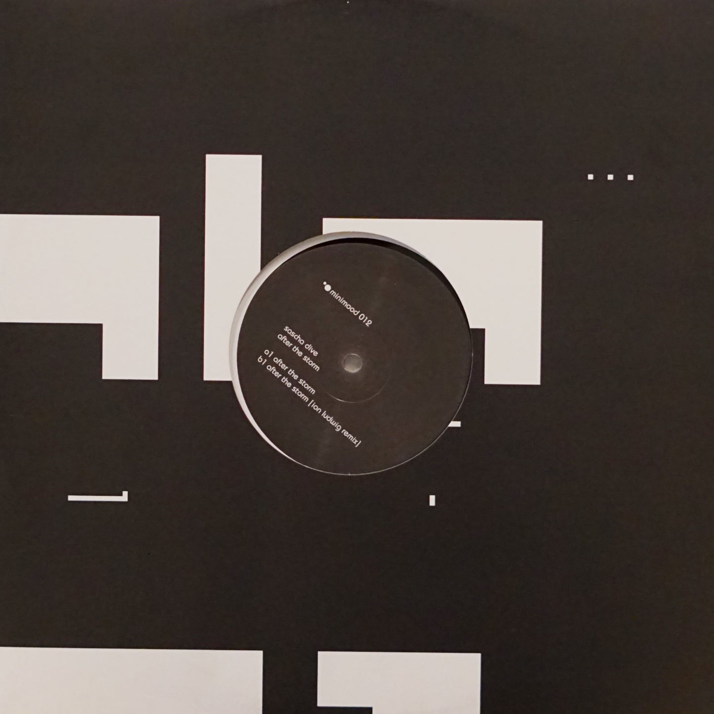 SASCHA DIVE ‎– AFTER THE STORM