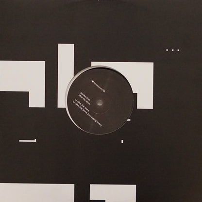 SASCHA DIVE ‎– AFTER THE STORM