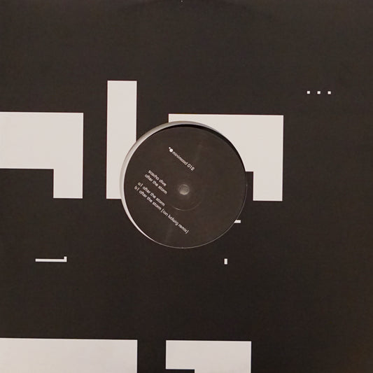 SASCHA DIVE ‎– AFTER THE STORM