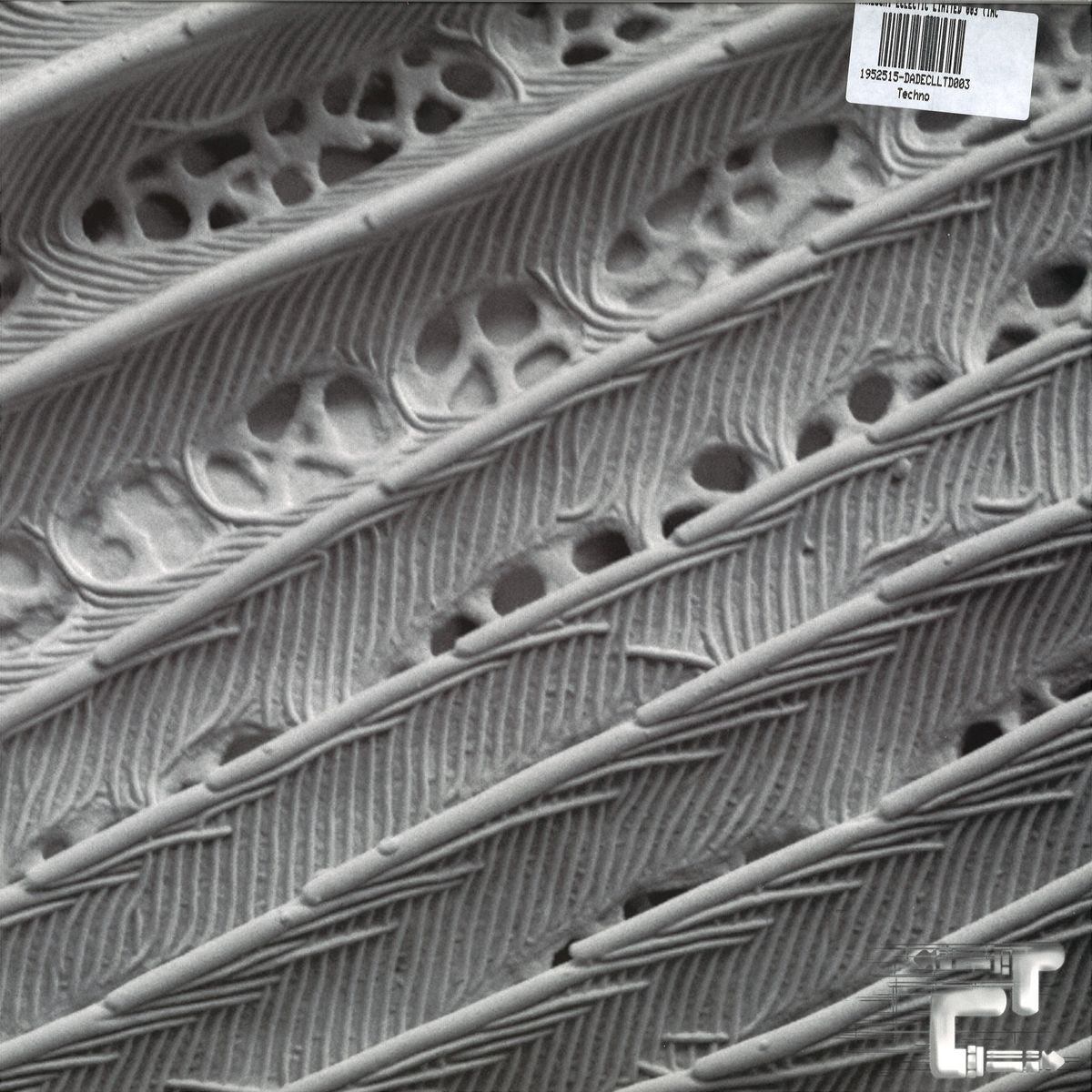 RYUJI TAKEUCHI, LAG – ECLECTIC LIMITED 003 - Chippy Chasers Record Store