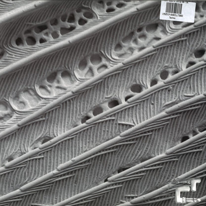 RYUJI TAKEUCHI, LAG – ECLECTIC LIMITED 003 - Chippy Chasers Record Store