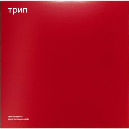 Triple Vision SKORRI RandyRtsport vinyl record with colorful album cover artwork, front view of the music record.
