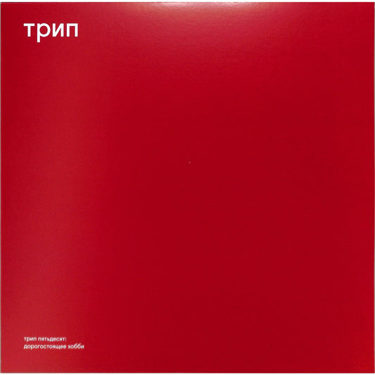 Triple Vision SKORRI RandyRtsport vinyl record with colorful album cover artwork, front view of the music record.