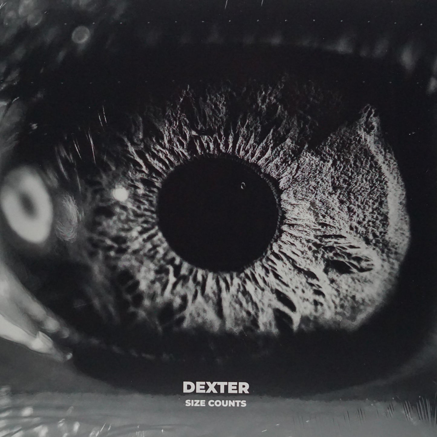 DEXTER – SIZE COUNTS