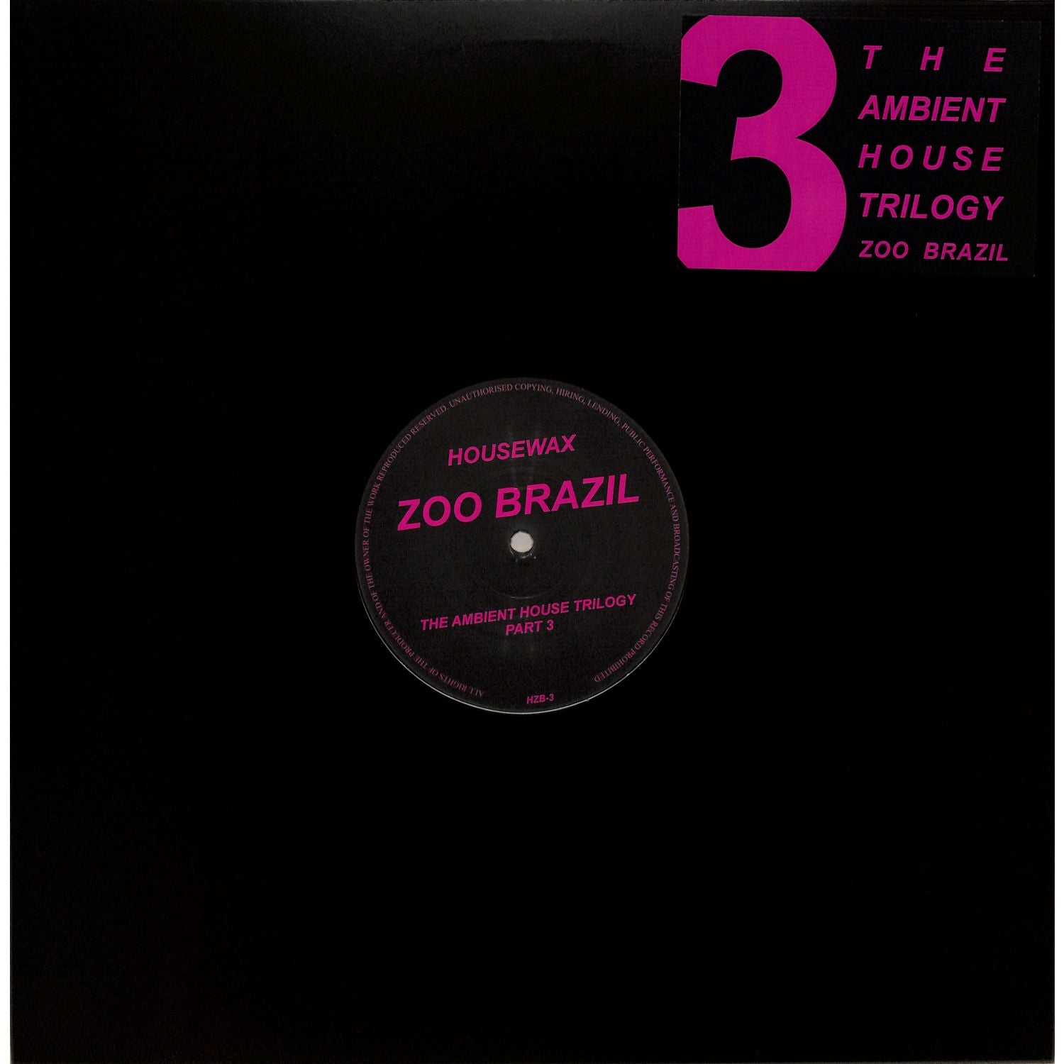 DBH ZOO BRAZIL The Ambient House Trilogy Part 3 vinyl record with colorful album cover art and textured surface.