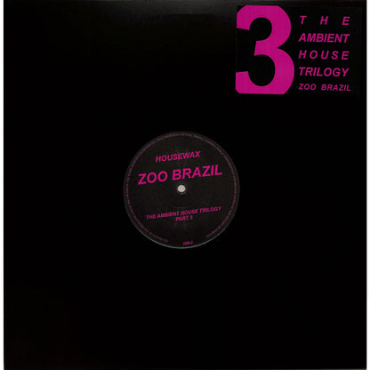 DBH ZOO BRAZIL The Ambient House Trilogy Part 3 vinyl record with colorful album cover art and textured surface.