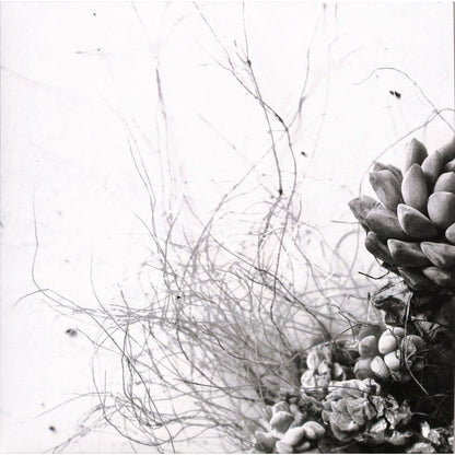 ACAERA – UNFOLD