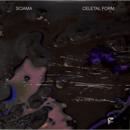 SCIAMA – CELETAL FORM