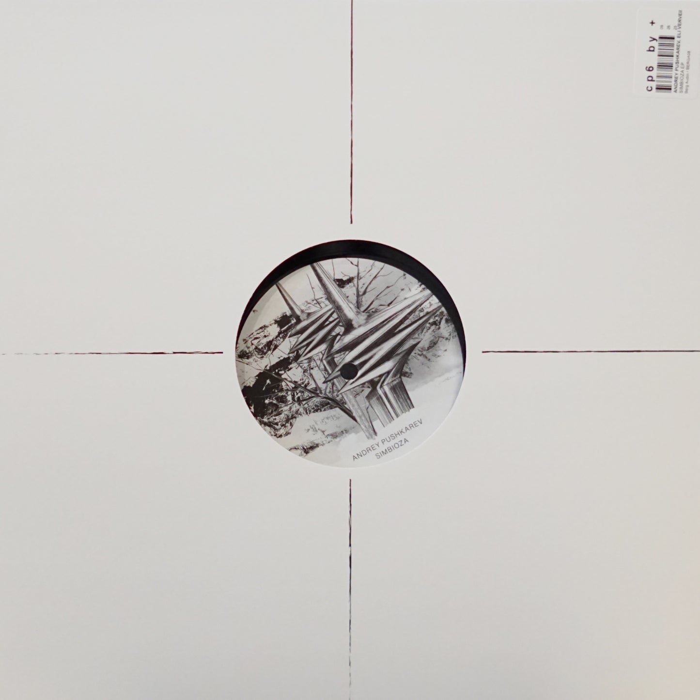 ANDREY PUSHKAREV – SIMBIOZA EP