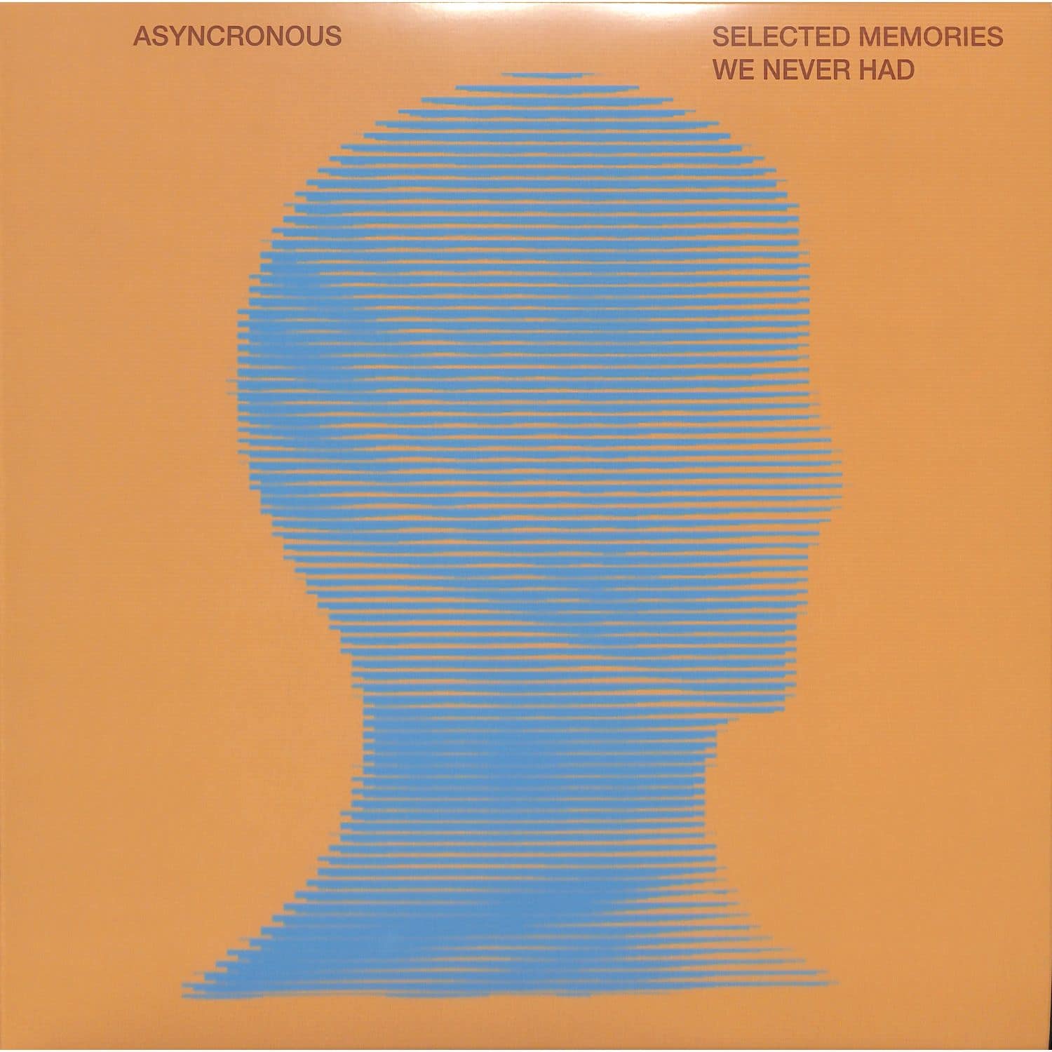 Asynchronous Selected Memories We Never Had vinyl record by Triple Vision, showing the album cover with abstract artwork.
