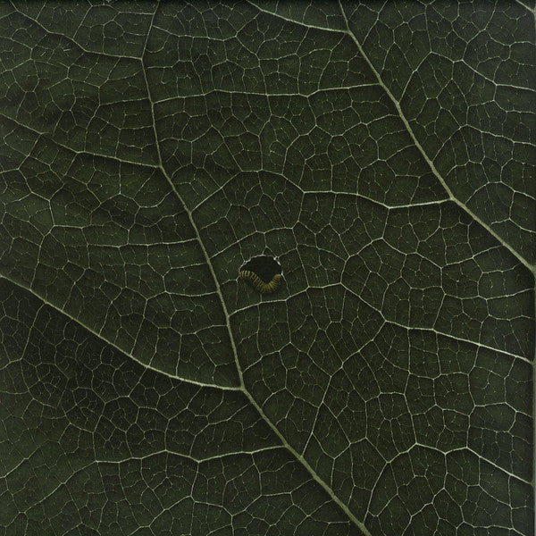 SUOLO – MULENV008 - Chippy Chasers Record Store