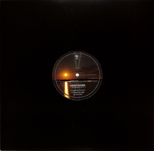 Deepchord Atmospherica Vol. 2 vinyl record by Rubadub, featuring ambient and electronic music, with artwork on the front cover.