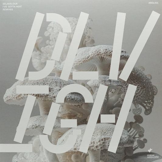 DELAVELOUR – I'VE GOTTA HEAT' REMIXES