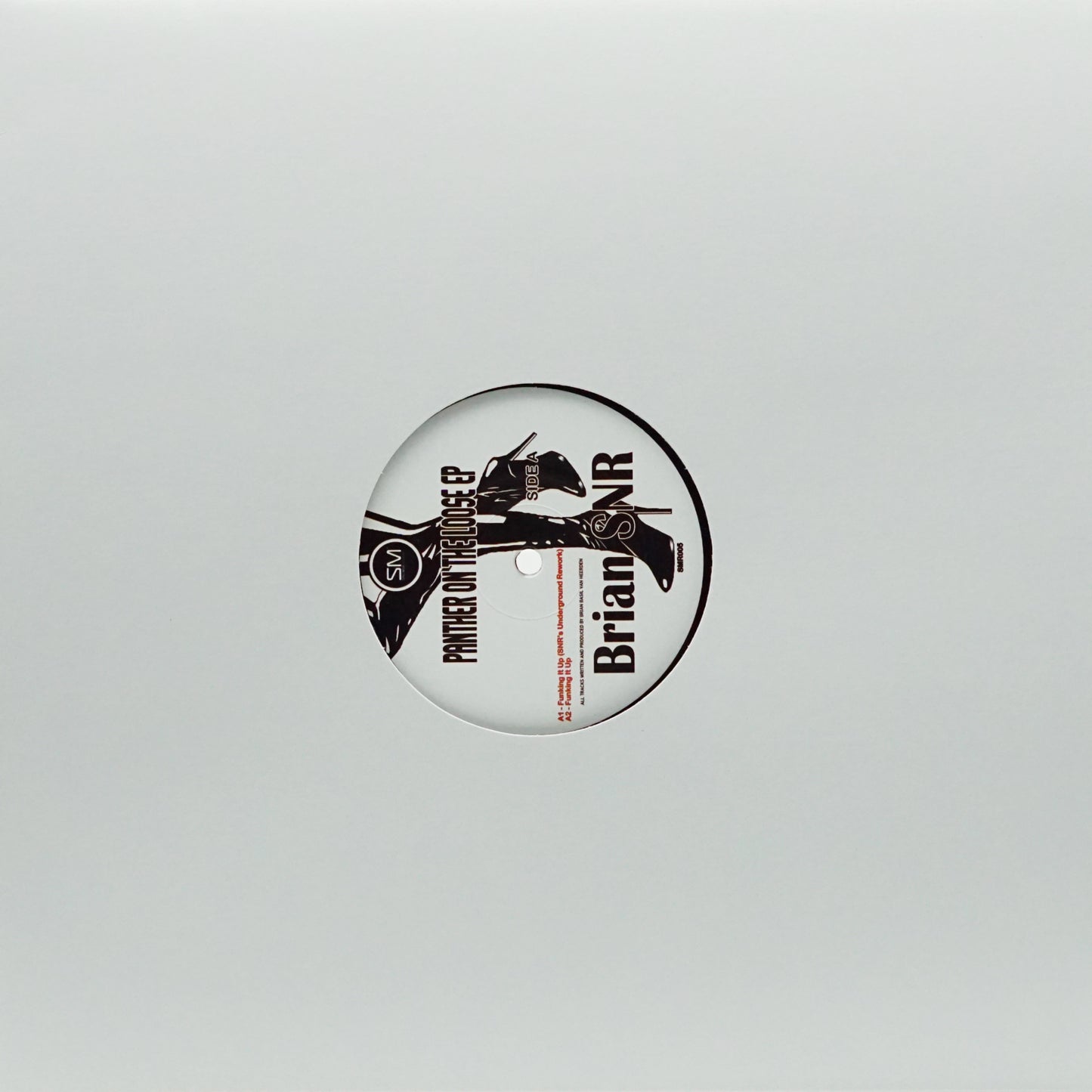 BRIAN SNR – PANTHER ON THE LOOSE E.P.