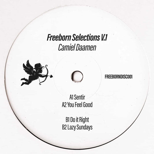 Decks Camiel Daamen Freeborn Selections Vol 1 vinyl record with colorful abstract cover art, showcasing the album's front design.