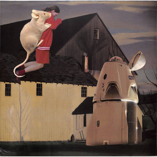 Vinyl record titled "Dream Farm" by Denis Kaznacheev, second-hand edition, showing the front cover artwork.