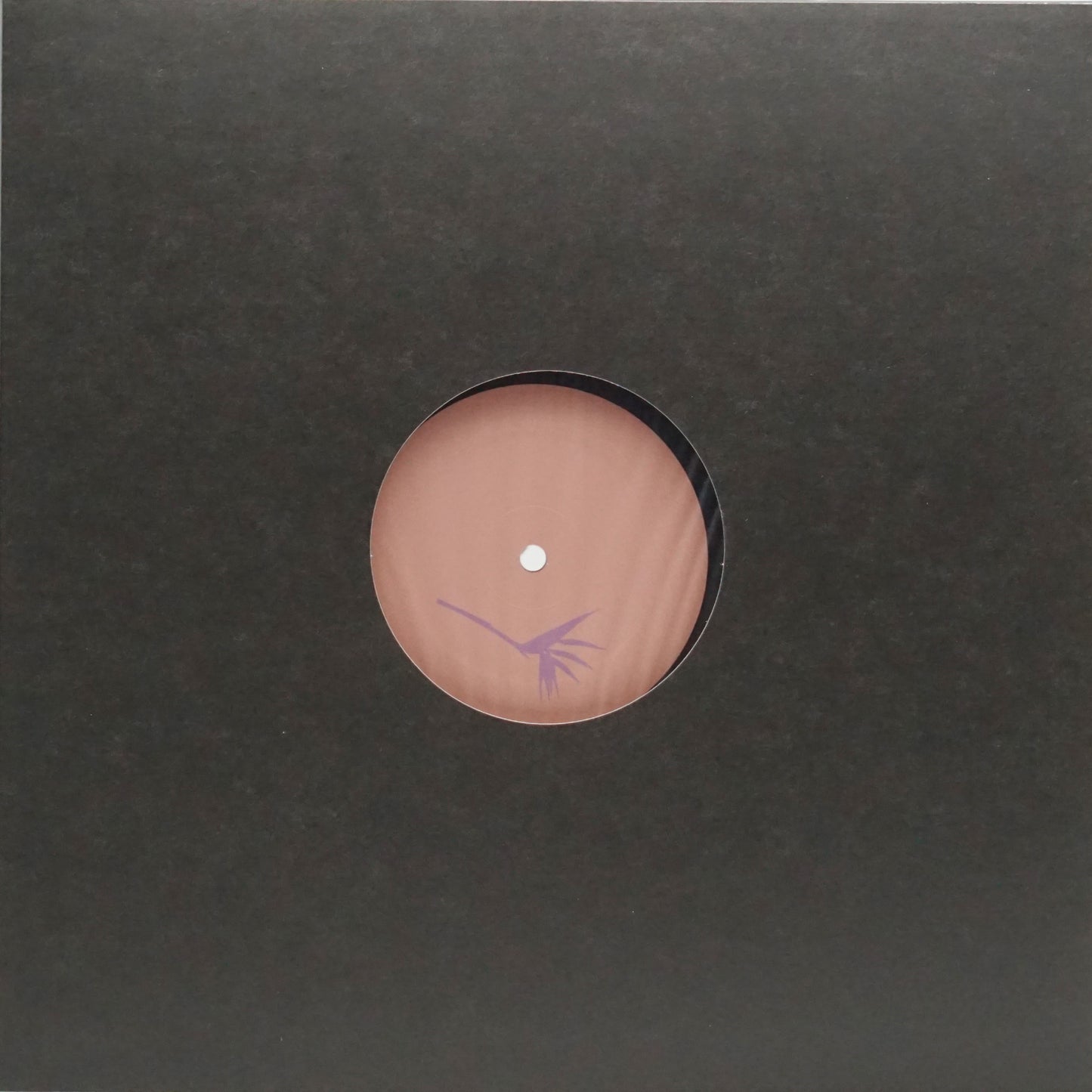 DANIEL MEISTER – LANAO IZANY