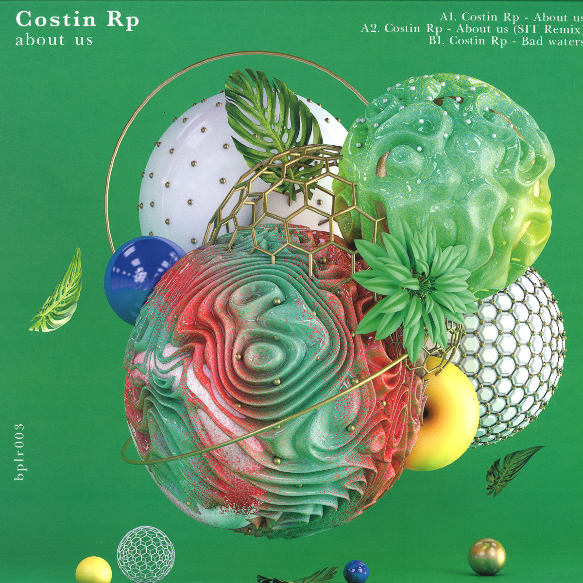 Vinyl Future COSTIN RP, SIT vinyl record front cover with abstract artwork and album title text.