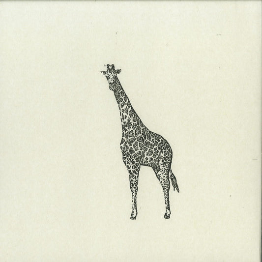 Second Hand GIRAFFE – JUNI vinyl record, front cover artwork featuring a colorful giraffe illustration.
