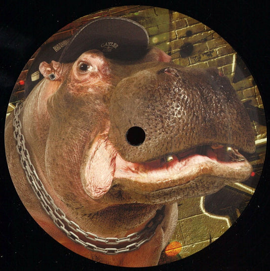 IO – MODULE EP
