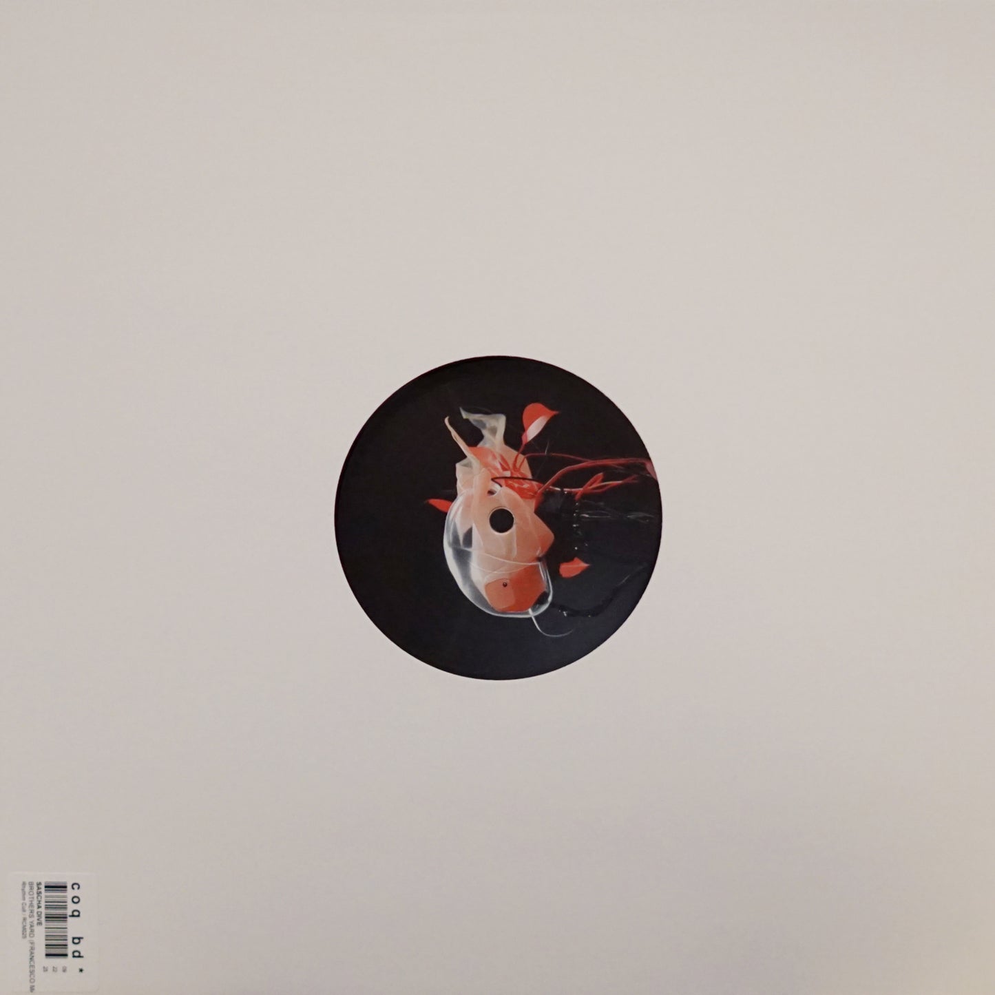 SASCHA DIVE – BROTHERS YARD