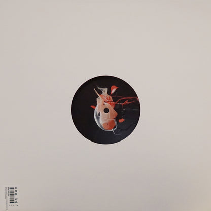 SASCHA DIVE – BROTHERS YARD