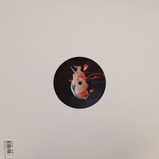 SASCHA DIVE – BROTHERS YARD