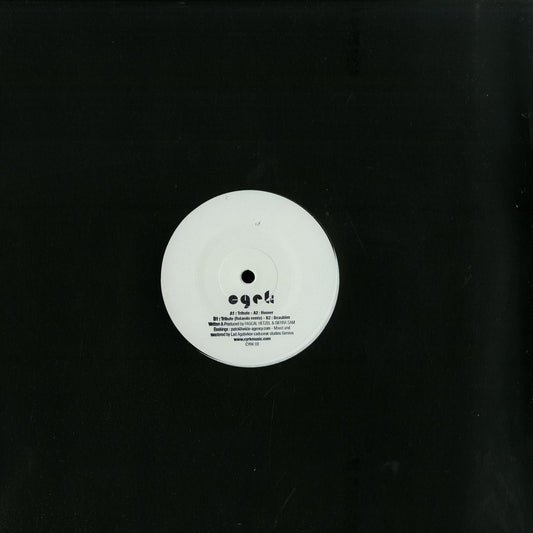 Vinyl record of Pascal Hetzel & Sierra Sam's Tribute album, second-hand edition, featuring colorful cover art.