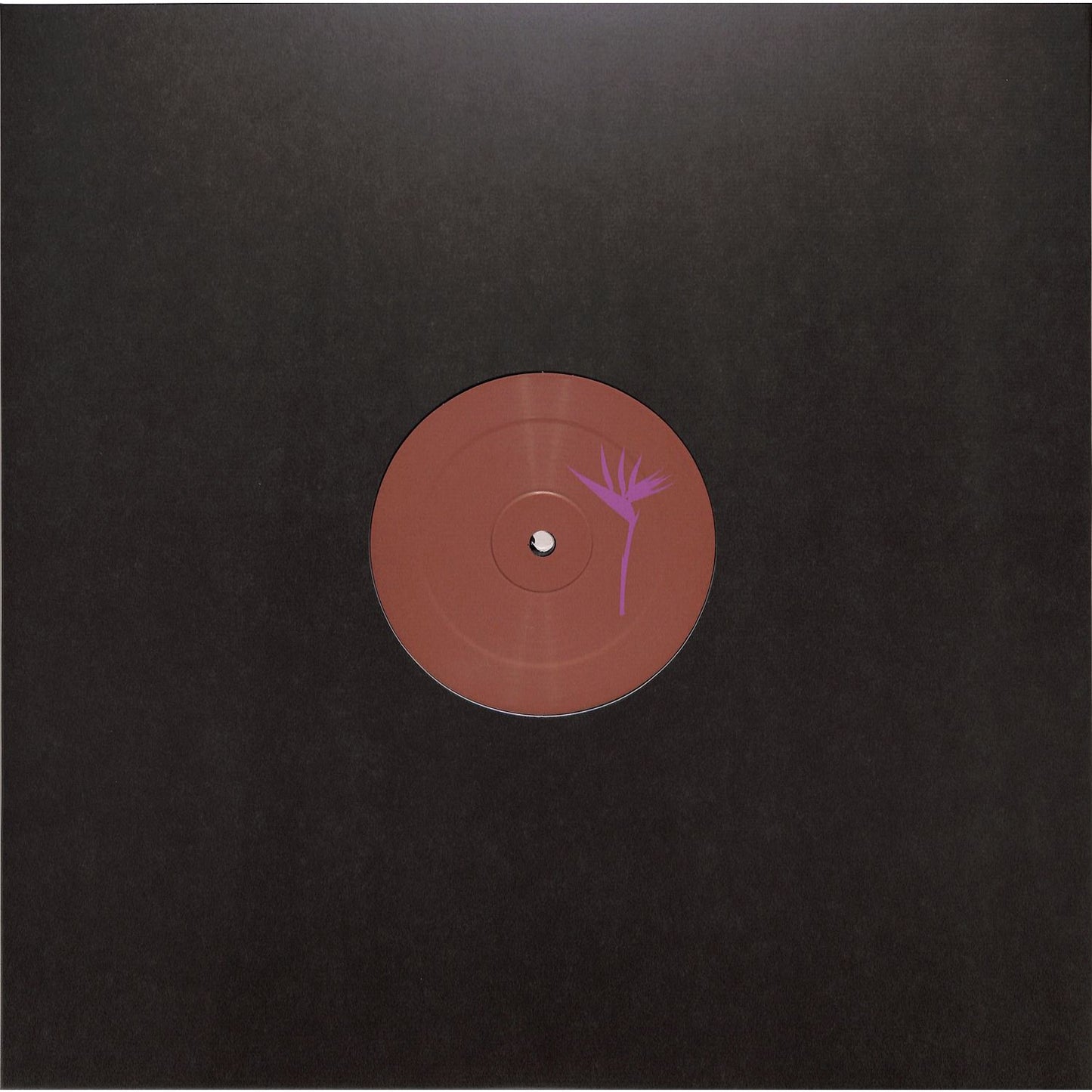 Triple Vision Insomniac 300 vinyl record by Loopdeville, front cover art with bold graphic design.
