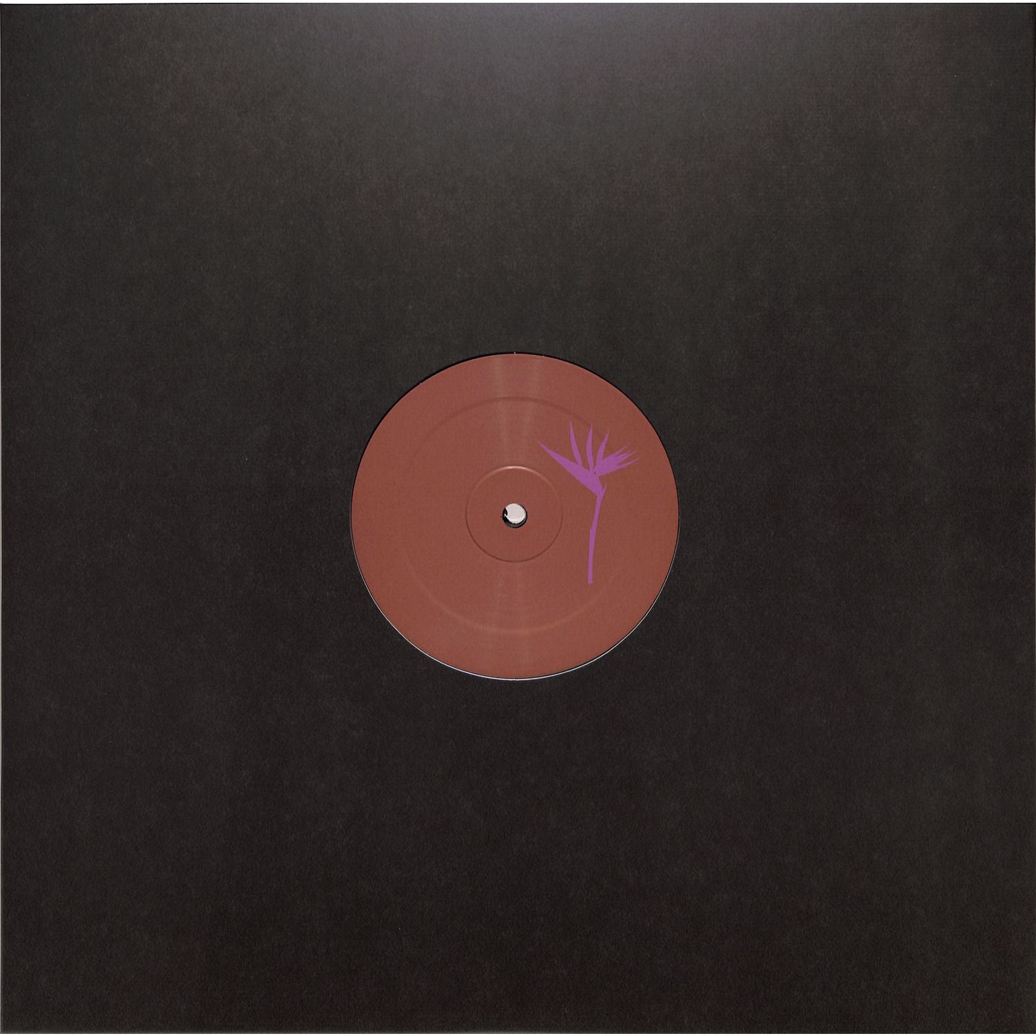 Triple Vision Insomniac 300 vinyl record by Loopdeville, front cover art with bold graphic design.