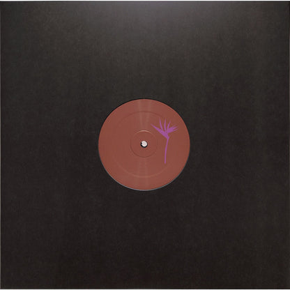 Triple Vision Insomniac 300 vinyl record by Loopdeville, front cover art with bold graphic design.