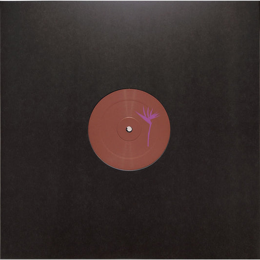 Triple Vision Insomniac 300 vinyl record by Loopdeville, front cover art with bold graphic design.
