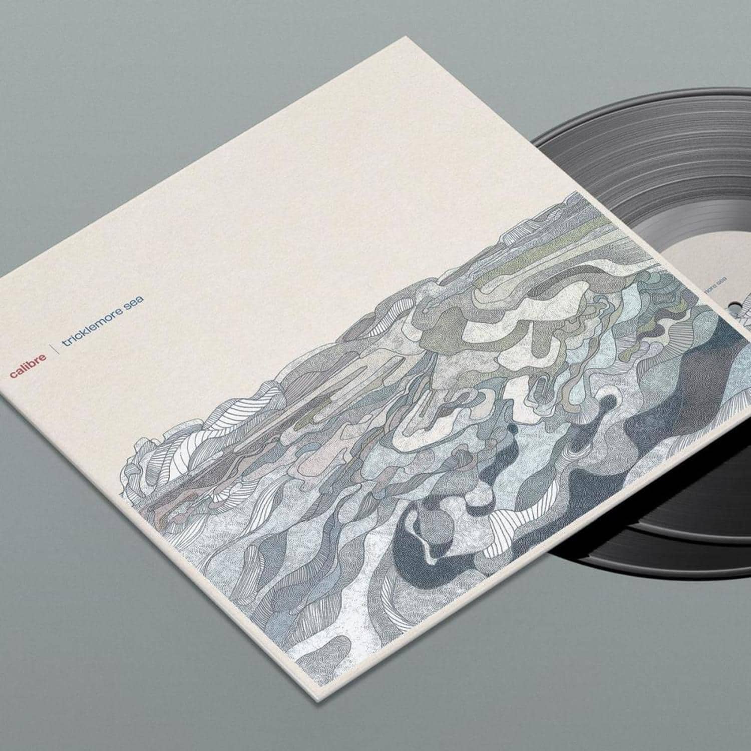 Triple Vision Calibre Tricklemore Sea vinyl record with colorful abstract artwork on the front cover.