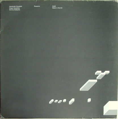 ALEXANDER KOWALSKI, DIEGO HOSTETTLER, DENNIS DESANTIS – REASONS