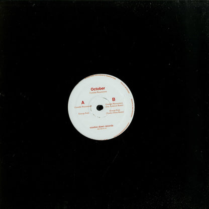 Second Hand vinyl record of October, Joey Anderson's Voodoo Down – Unstable Phenomenon with colorful album cover art.