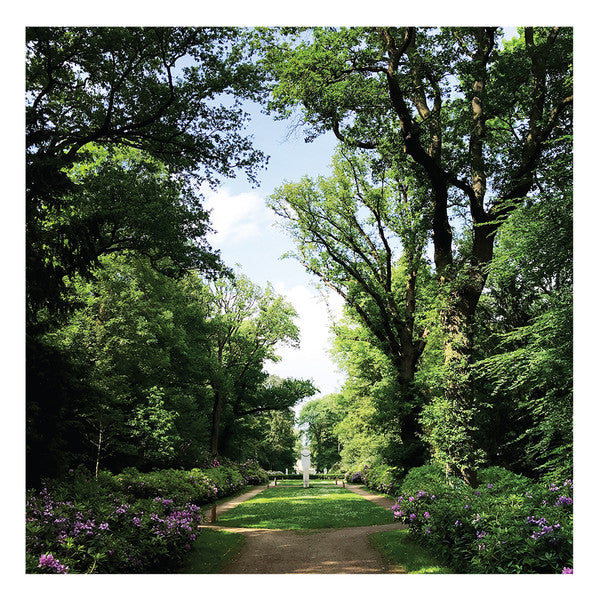 Second Hand vinyl record of COEN OSCAR POLACK’s Haarlemmerhout with album cover art featuring trees and natural landscape.