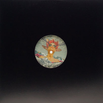ADAM COLLINS – MSR 002