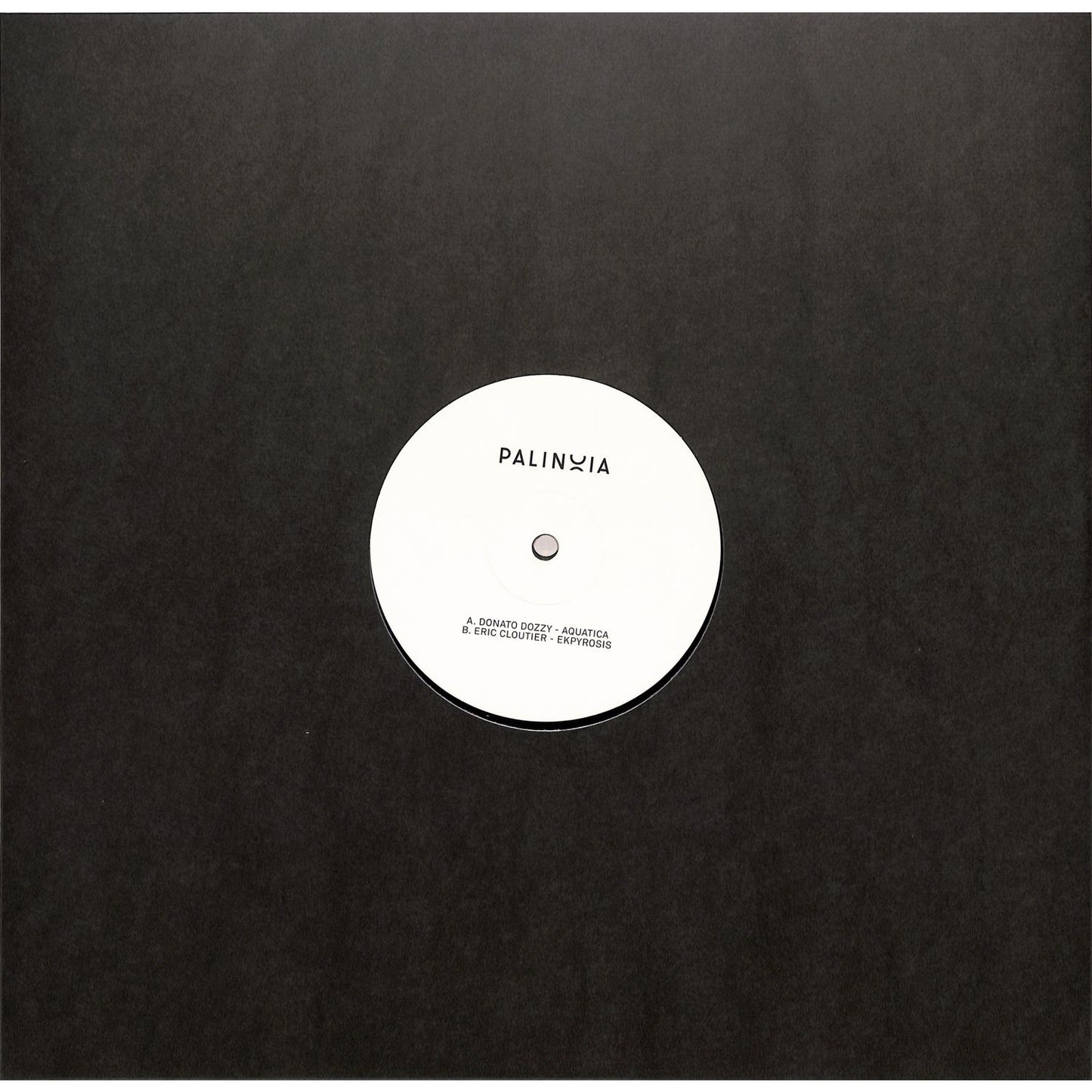 Donato Dozzy and Eric Cloutier vinyl record Palinoia Ltd 001 by Rubadub, showing the record cover art with vibrant design details.