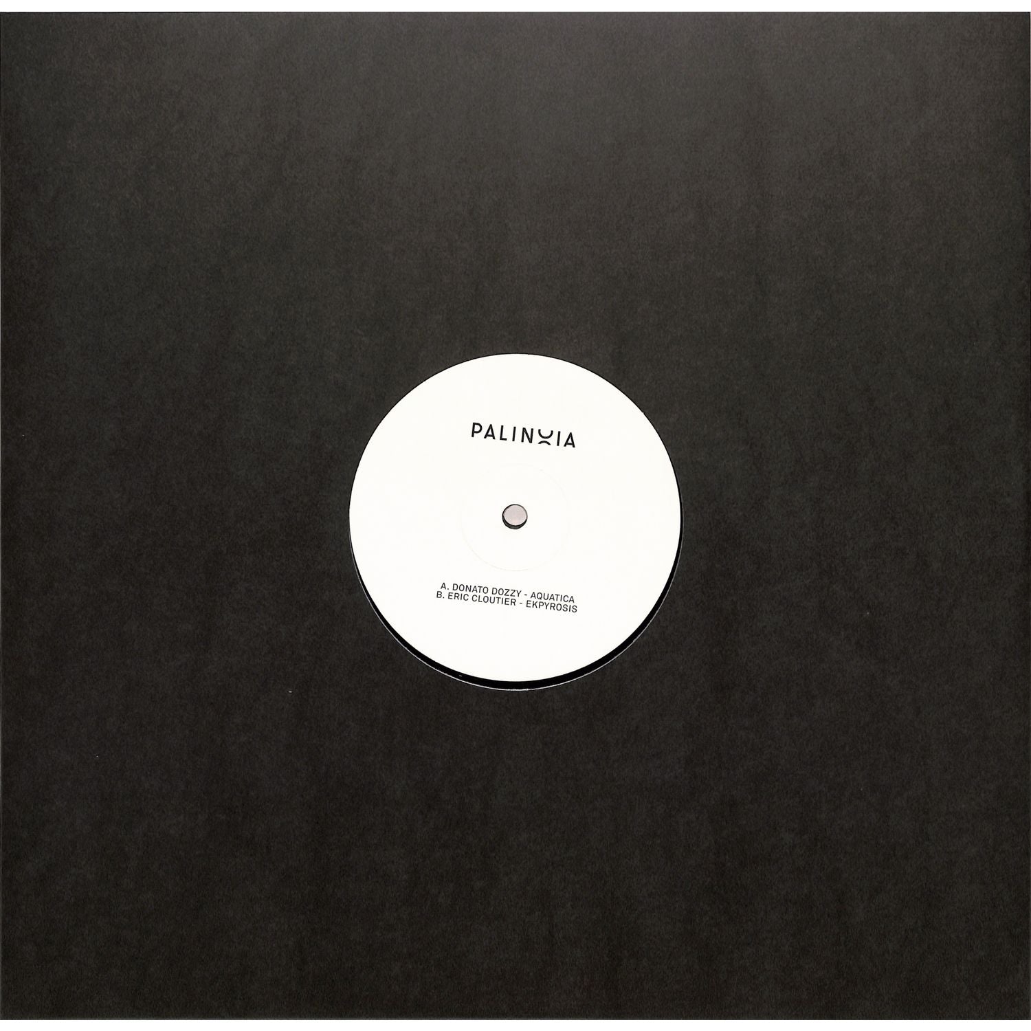 Donato Dozzy and Eric Cloutier vinyl record Palinoia Ltd 001 by Rubadub, showing the record cover art with vibrant design details.