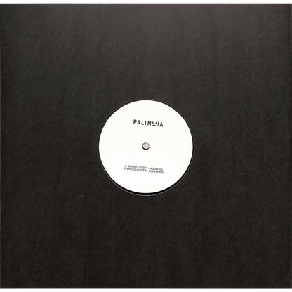 Donato Dozzy and Eric Cloutier vinyl record Palinoia Ltd 001 by Rubadub, showing the record cover art with vibrant design details.