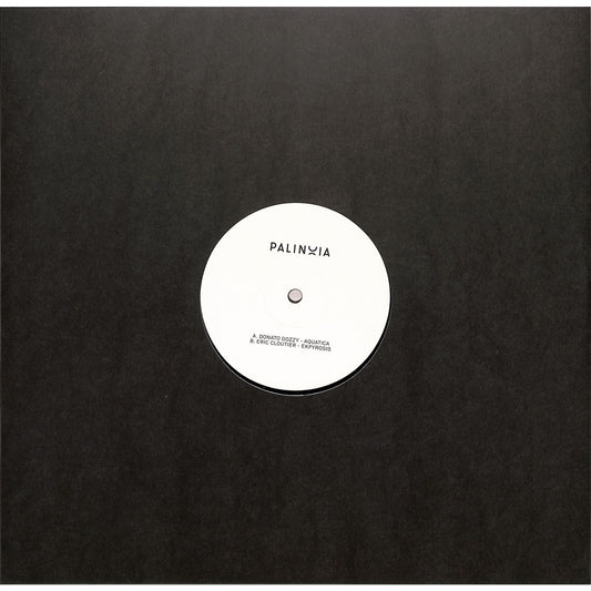 Donato Dozzy and Eric Cloutier vinyl record Palinoia Ltd 001 by Rubadub, showing the record cover art with vibrant design details.