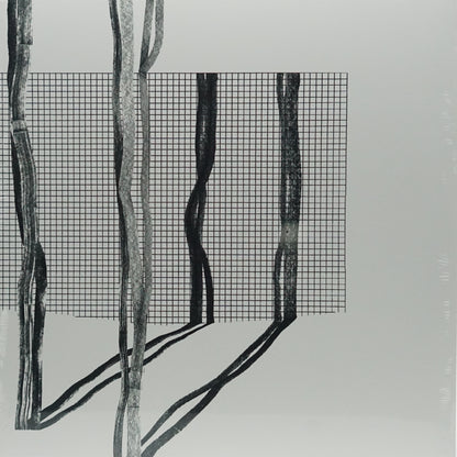VARIOUS ARTISTS – SYSTEMA NATURAE II