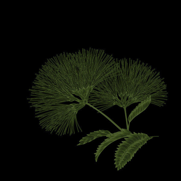 SESSION RESTORE / BERNHARD HUDALLA – PATHFINDER EP