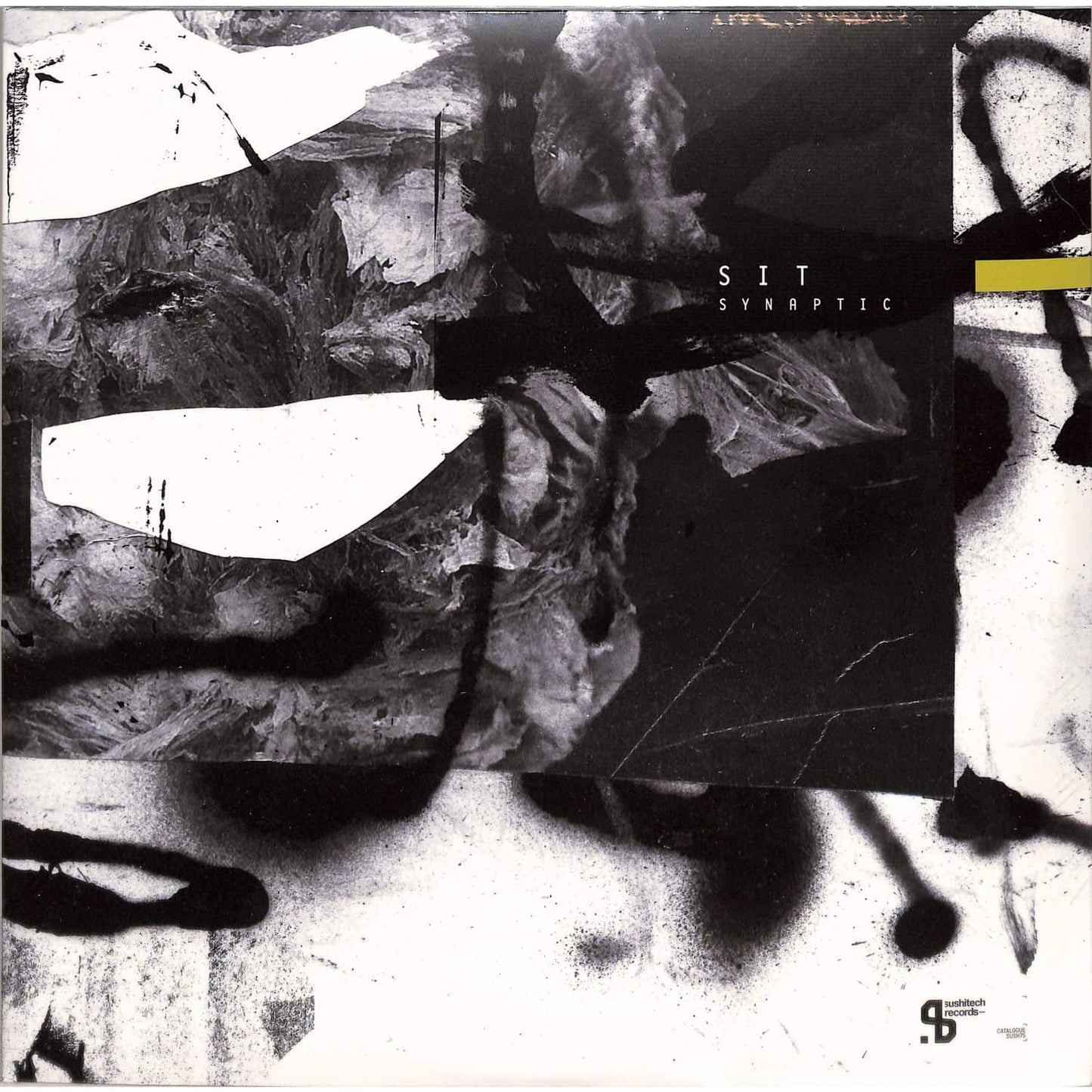SIT – SYNAPTIC