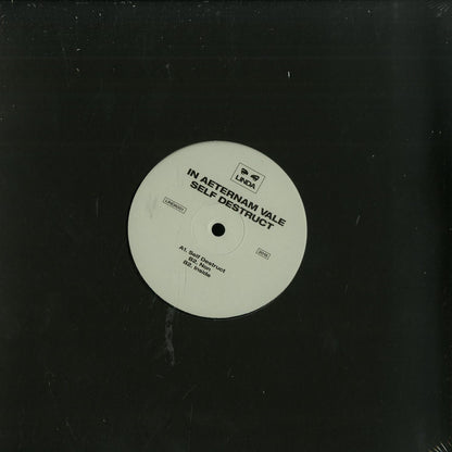 Second Hand vinyl record "In Aeternam Vale – Self Destruct" with album cover art, featuring dark abstract design on the front.