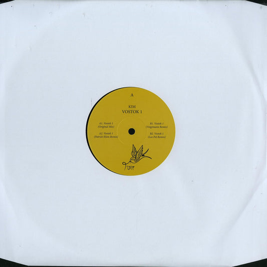 Vinyl record Vostok 1 by KIM, PATRICK KLEIN, VOIGTMANN, LEO POL showcasing front cover artwork.