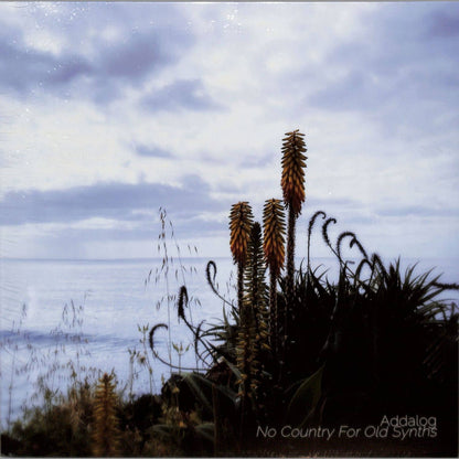 ADDALOG – NO COUNTRY FOR OLD SYNTHS