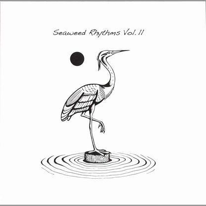 PRIKU, ZLENE & KALKYL, ANDU SIMION, IULY.B – SEAWEED RHYTHMS VOL.2