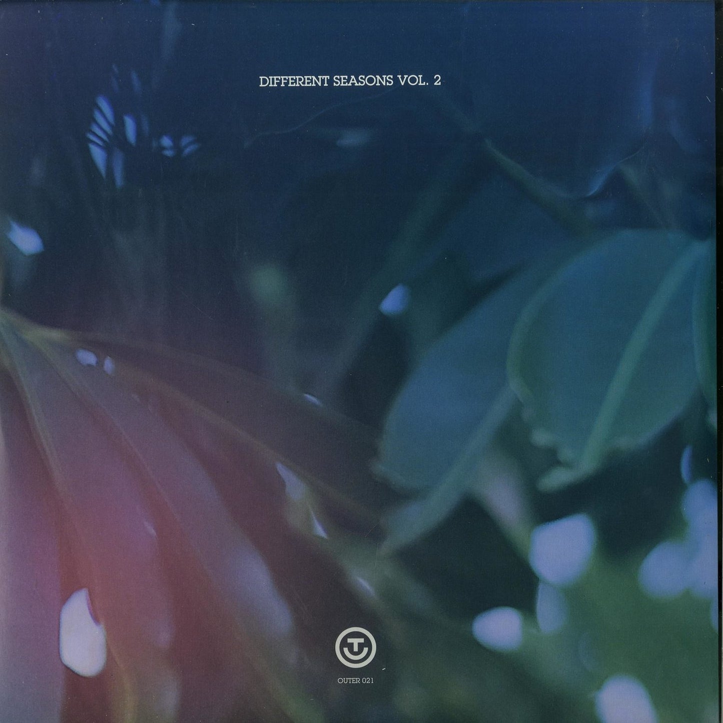Second hand vinyl record of "Different Seasons Vol. 2" by Fabrizio Lapiana, Luciano Esse, Farron, and Hydergine, front cover image.